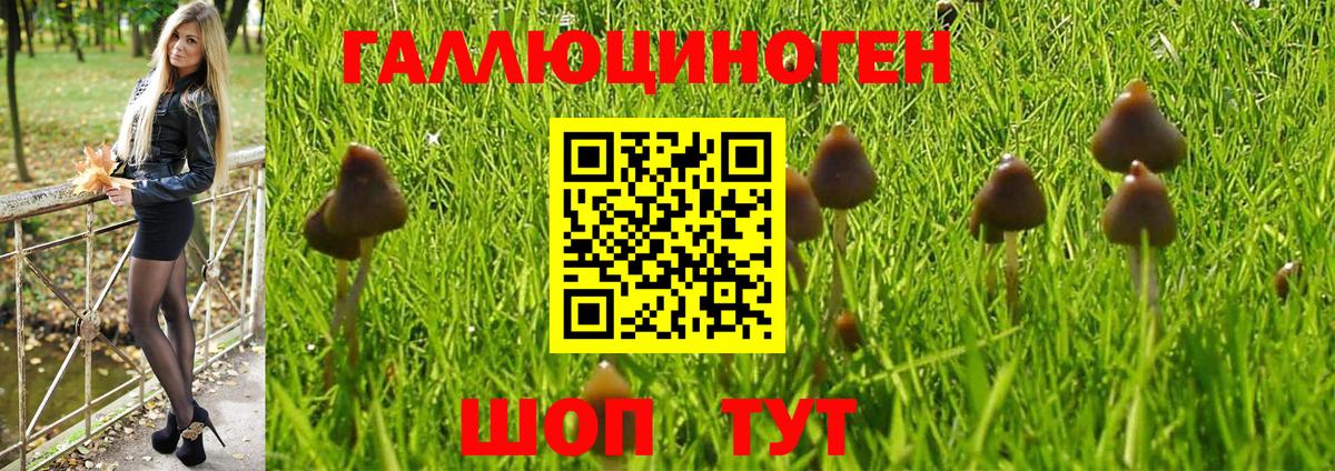 Псилоцибиновые грибы MAGIC MUSHROOMS  Вход с VPN  Ярцево 